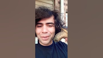 Dumb guy gets bit by a snapping turtle
