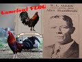 History of roundhead gamefowl vlog tagalog