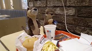 Abendessen für die Otter Marlenka und Finley Flink bei KFC Leipzig Hbf