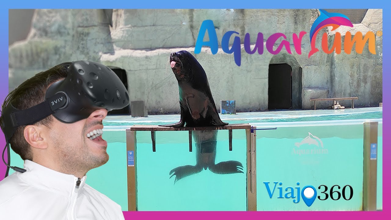 🐬 Delfines en 360º? 🐟MIRA COMO ERA EL AQUARIUM Mar del Plata🐦🐧| Argentina |6K