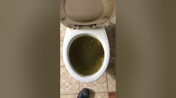 Bồn cầu bị tắc