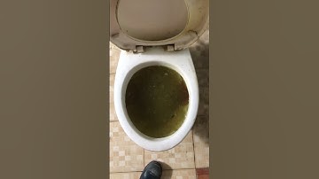 Bồn cầu bị tắc