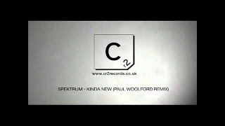 Spektrum - Kinda New (Paul Woolford Remix)