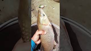 Aunty Ke Ghar Tak Ka Safar