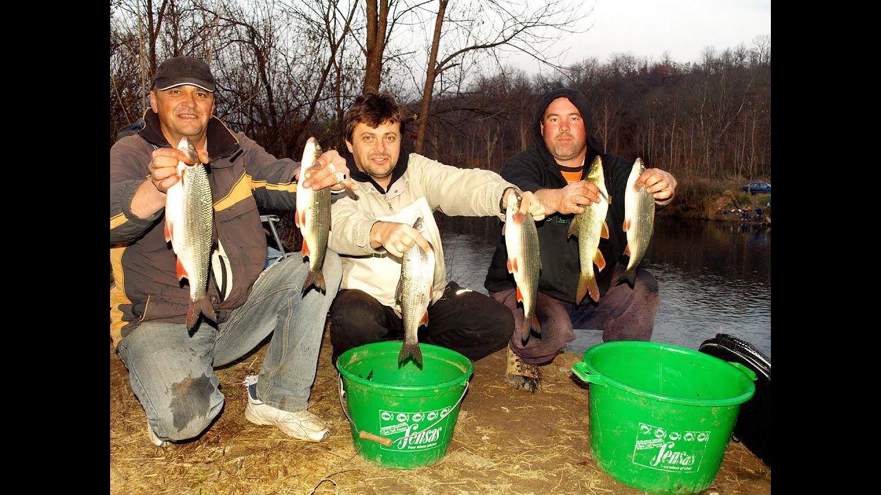 За скобари с болонеза по р. 