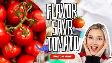 How the Flavor Savr Tomato Transformed the Taste of Tomatoes | Genetically modified tomatoes