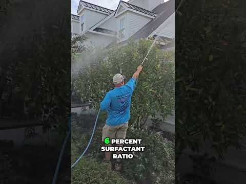 Roof Washing Transformation