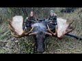 2 woman 2 moose  ak moose hunt  stuck n the rut 181