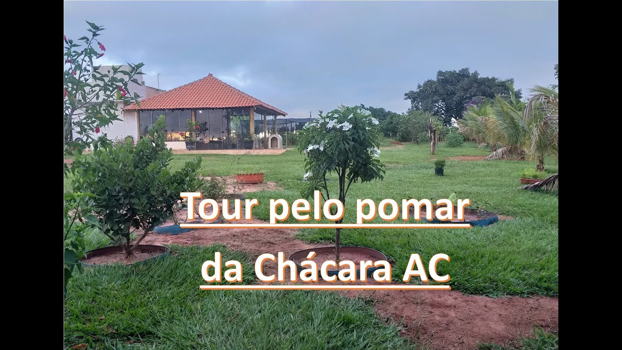 Tour pelo Pomar. Vida na Roça.
