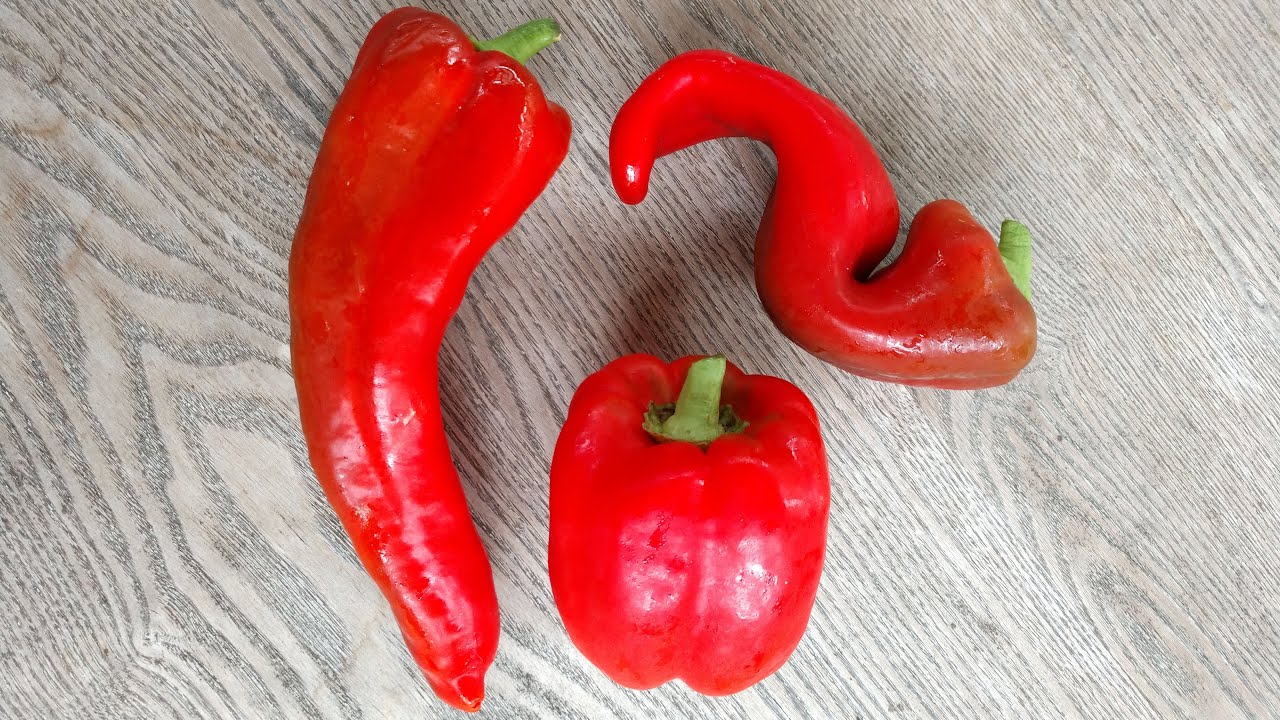 Cooking the Harvest Freezing Sweet Peppers YouTube