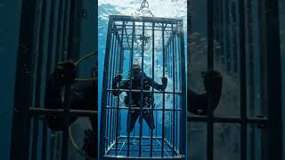 “Shark Fury: Cage Assault” #SharkAttack #CageSurvival #OceanThriller