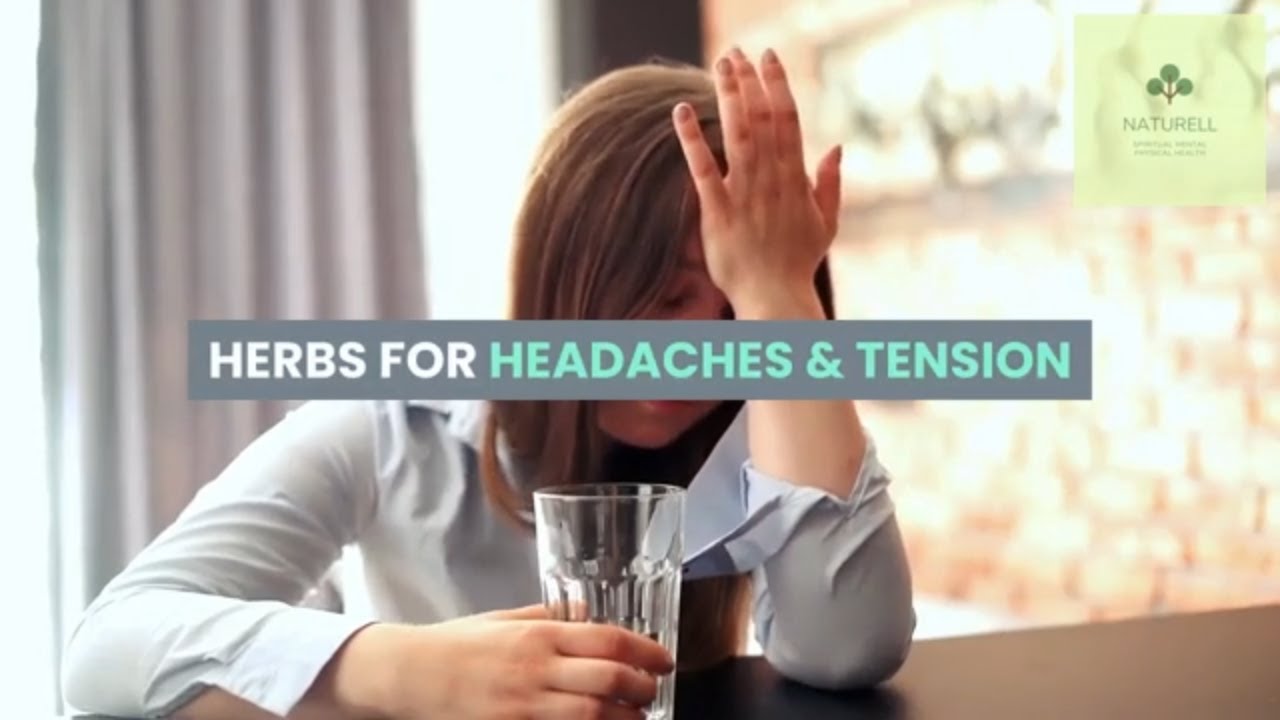 🌿BEST HERBS FOR HEADACHES! YouTube