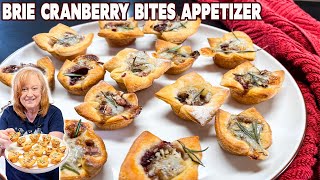 Brie Cranberry Bites Appetizer Using Canned Crescent Dough
