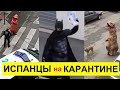 БЕЗУМИЕ и СОЛИДАРНОСТЬ в ИСПАНИИ