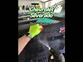 Overspray Removal With Nanoskin Clay Sponge