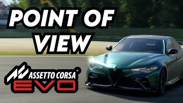 How to Customize Point of View in Assetto Corsa EVO (POV)