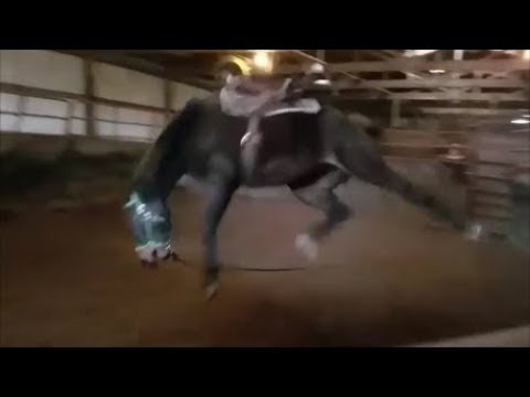 dangerous-bucking-horse-gets-fixed!!!