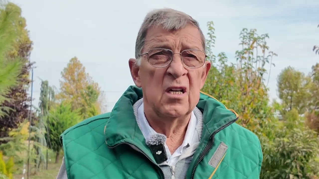 KAKO PRAVILNO SADITI VOCE U JESEN? Saveti strucnjaka iz rasadnika MAVM –prof. dr Vladislav Ognjanov