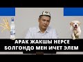 Абалына наалыган ИТТИН арманы | Арак жакшы нерсе болгондо МЕН ичет элем | Мухаммад Бекмин