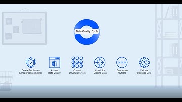 Payer Data Quality Cycle