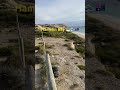 Hamelin Bay#Aus#shorts