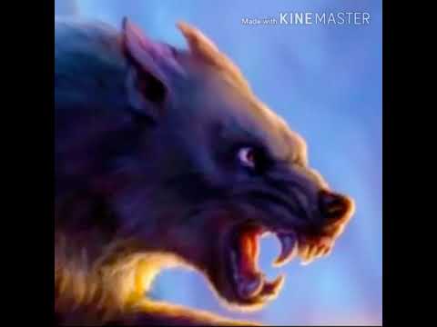 Werewolf Roar 🐺