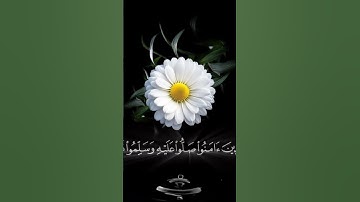 صباح الخير🤍حالات واتس اب مقاطع قصيره🤍 قران كريم ان الله وملائكته يصلون على النبي#صباحات_جميله#الجمعه
