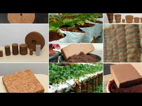 खराब नारियल से कमाय लाखों ‌। small business ideas in India। new