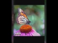 مسابقه 360مشترك الوصف