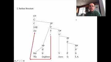 Ling 201 - Intro Linguistics - Syntax Practice Exercise Set #4