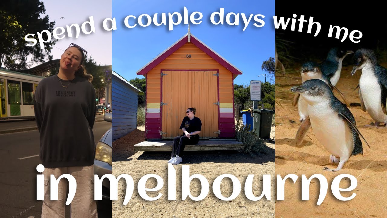 I see the penguin parade, get taylor swift merch and more