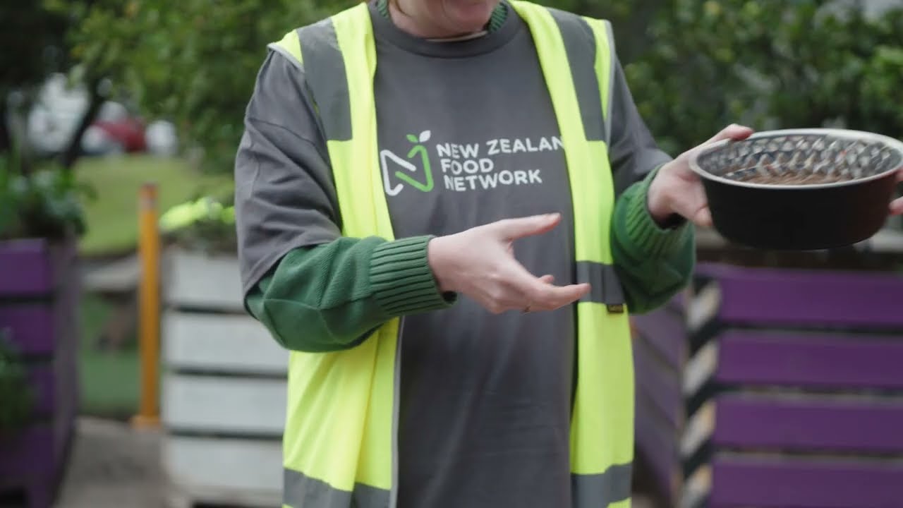 Petstock Foundation; Big Hearts Project