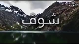 الشيخ محمد سيد حاج رحمه الله