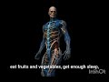 What Happens When You Drink More Water Every Day