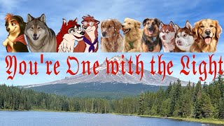 You're One with the Light. November 15th, 2025. 