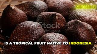 Download Lagu Buah Salak - Discovering the Exotic Snakefruit: Indonesia's Hidden Gem MP3 Download Lagu Buah Salak - Discovering the Exotic Snakefruit: Indonesia's Hidden Gem MP3