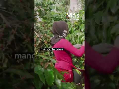 Video Más Colombia