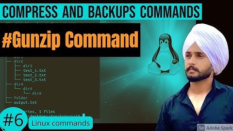 gunzip Command In Linux In Hindi | Linux File Backing and Compress | Linux Command | class #6