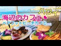 【ハワイのカフェVlog】ワイキキの東側にある海辺のカフェ「ベア フット  カフェ」で気持ちいいランチを食べてきました。