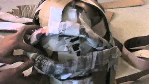 CWEET and the Two-headed Fish