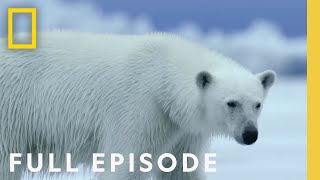 Polar Full Episode Hostile Planet National Geographic