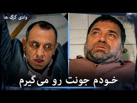 سریال وادی گرگ ها -مَماتی به ارسوی شکنجه می‌دهد