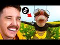 Download Lagu TIKTOKS that will make you laugh