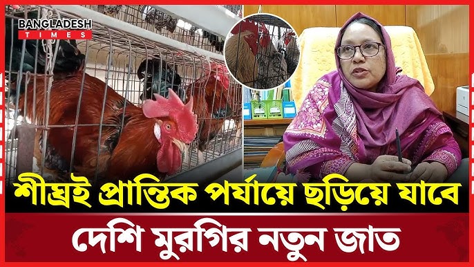 Yirtilgan mushuk surati Yirtilgan mushuk surati