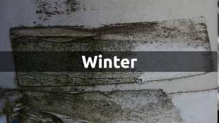 How to pronounce winter in English?
