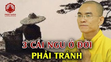 3 Cái Ngu Ở Đời Nên Tránh Càng Xa Càng Tốt - Thầy Thích Thiện Tuệ Thuyết Giảng Hay | PGVN