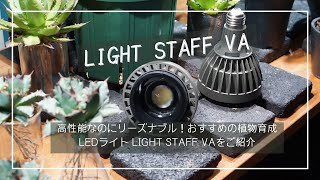 高性能なのにリーズナブル！おすすめの植物育成LEDライトLIGHT STAFF VA（ライトスタッフVA）をご紹介【アマテラス・ツクヨミ・HASU38とも比較】