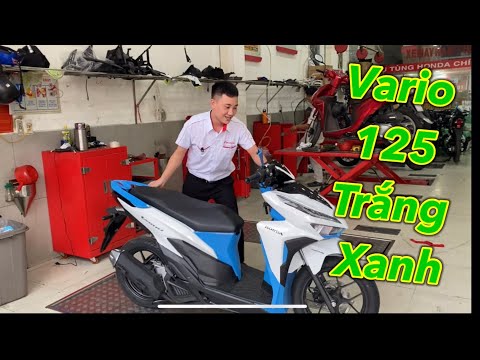 Video Vario 125 trắng xanh 2021 - Nam hihi - youtube