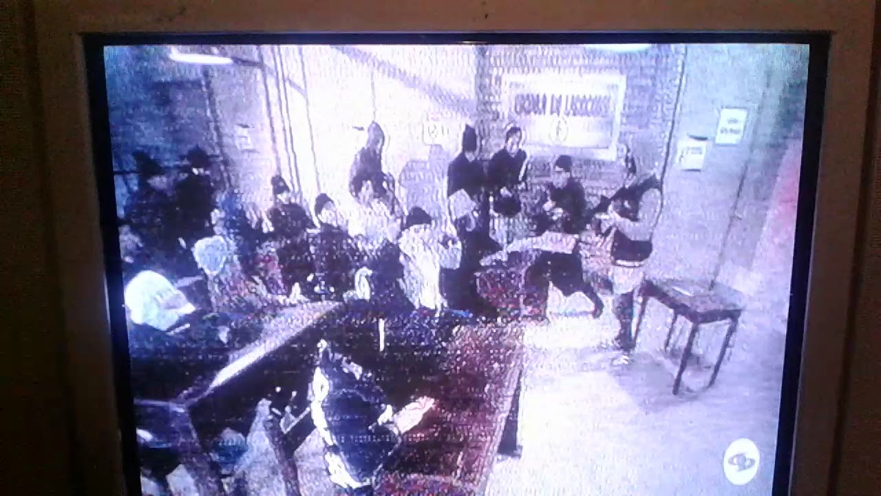 Sábados felices en vivo - YouTube