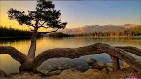 تلاوة نجدية خاشعة .. Telawh Nagdih سورة الأعلى Surat ala3la